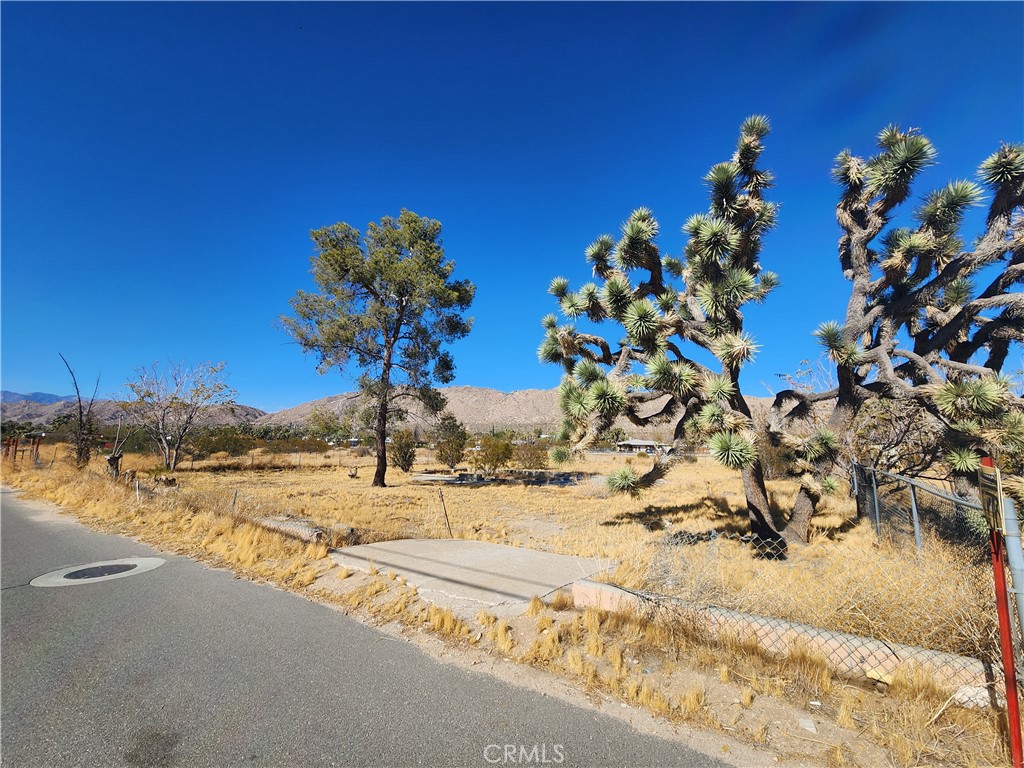 MLS #HD25223548 image #2