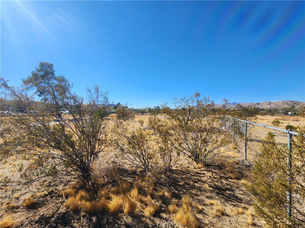 MLS #HD25223548 image #4