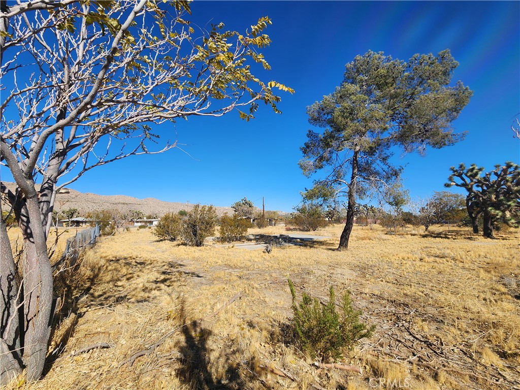 MLS #HD25223548 image #8