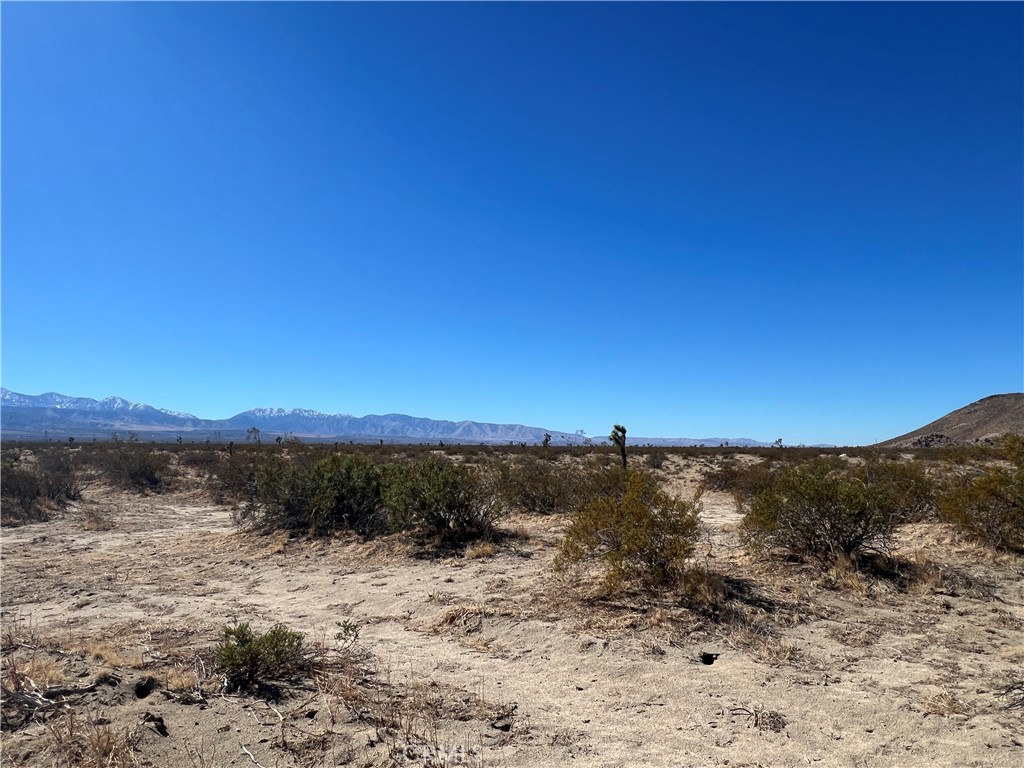 MLS #HD25224775 image #4