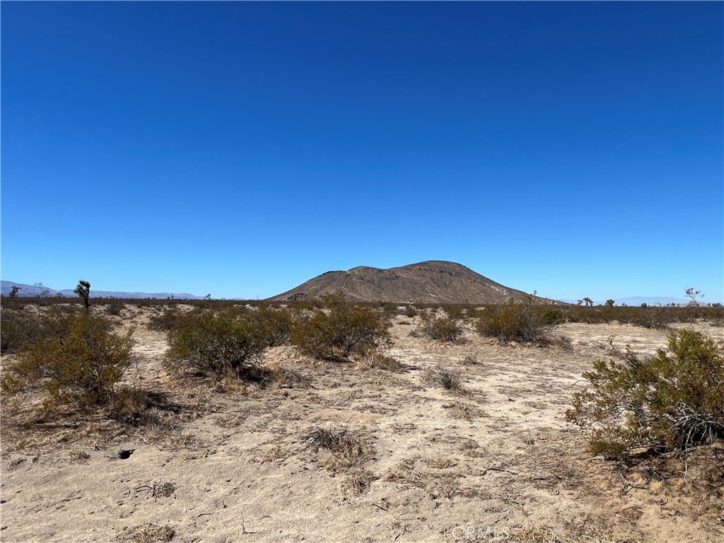 MLS #HD25224775 image #5