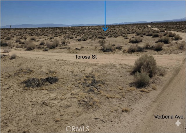 MLS #HD25230084 image #2