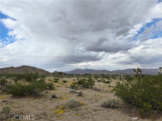 MLS #HD25242131 image #2