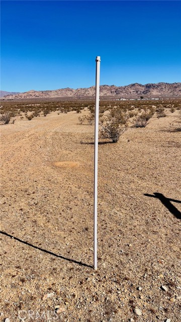 MLS #HD25243965 image #12