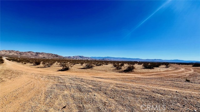 MLS #HD25243965 image #8