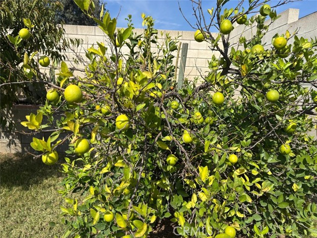 MLS #HD25247221 image #12