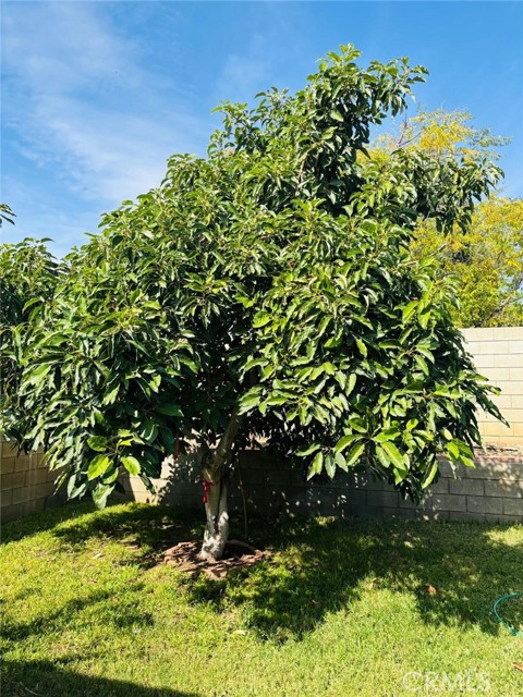 MLS #HD25247221 image #17