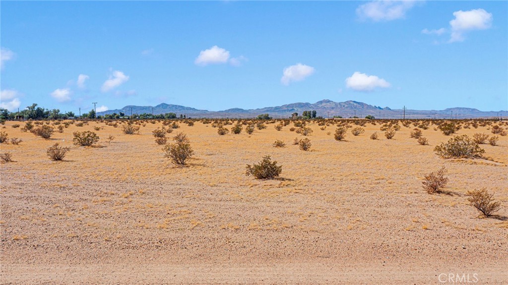 MLS #HD25256956 image #3