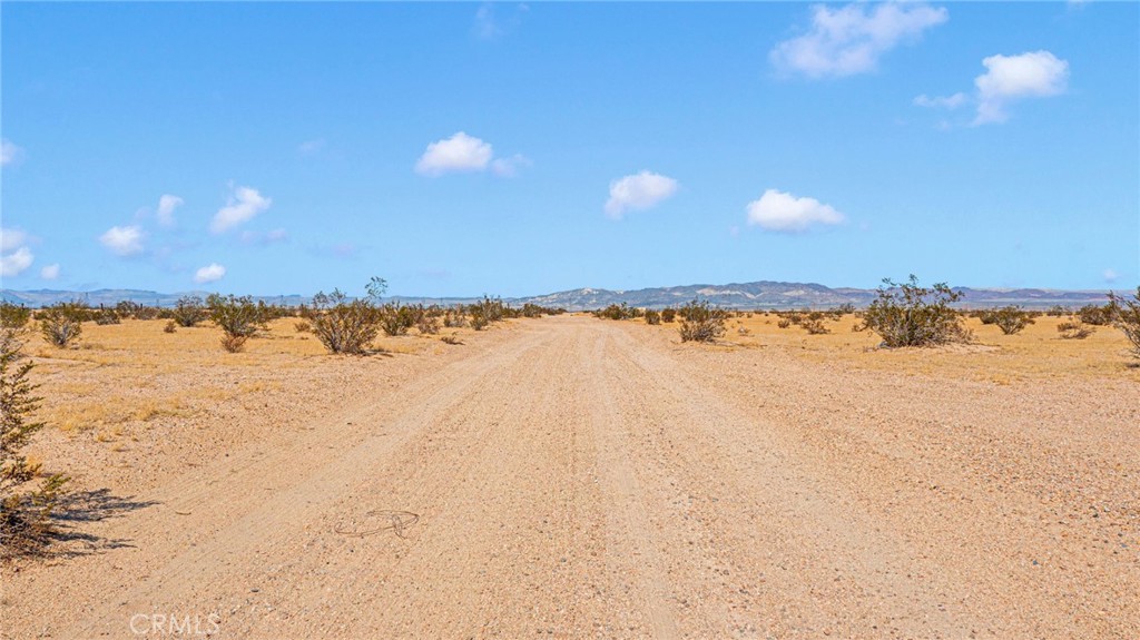 MLS #HD25256956 image #4