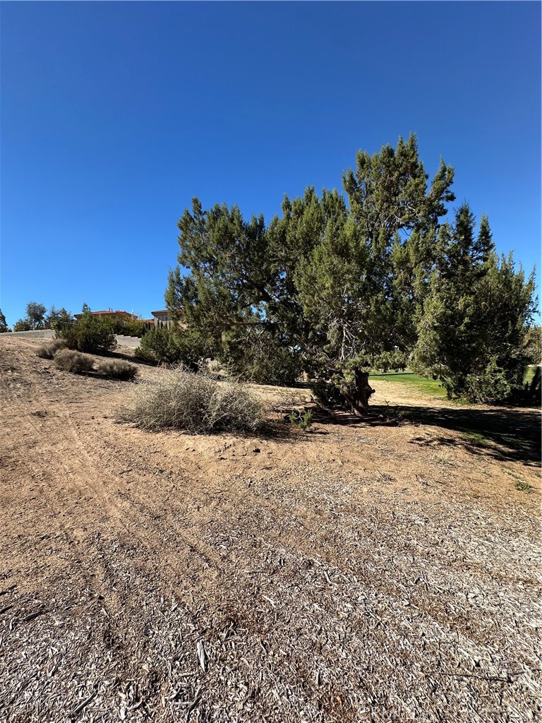 MLS #HD25257220 image #10