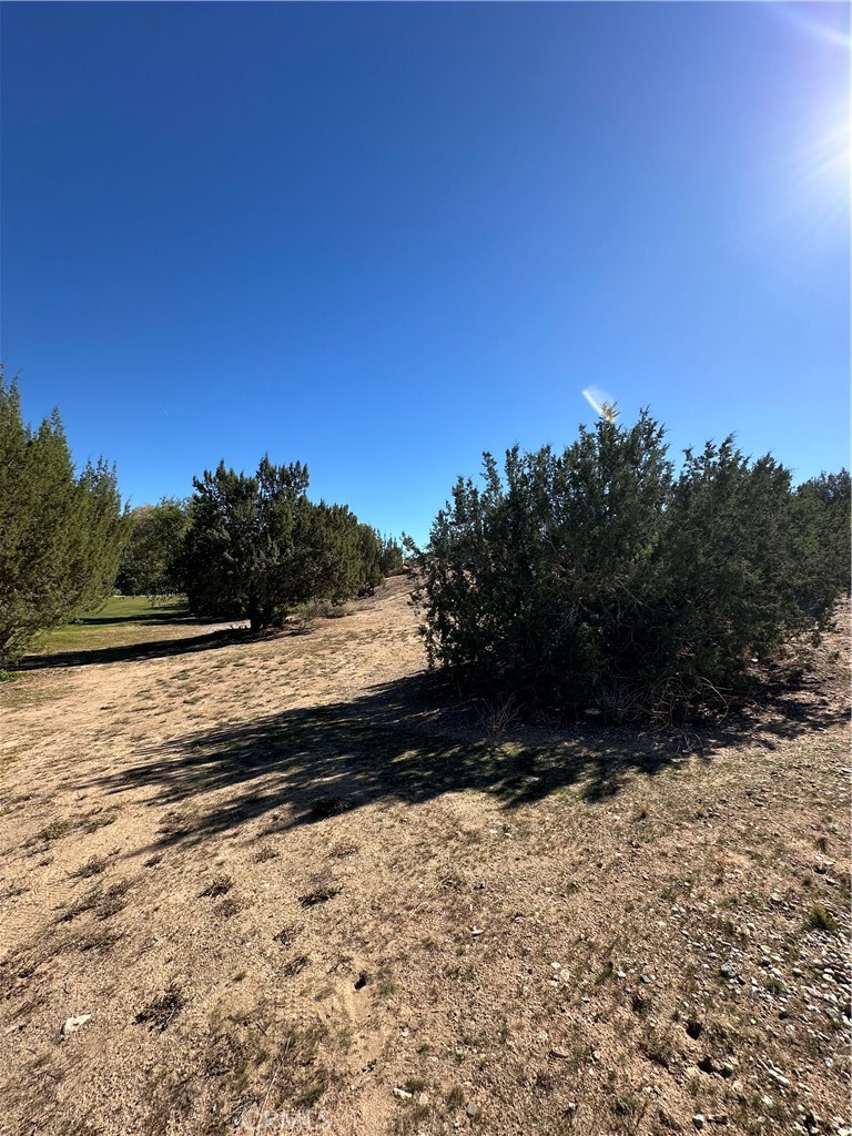 MLS #HD25257220 image #8