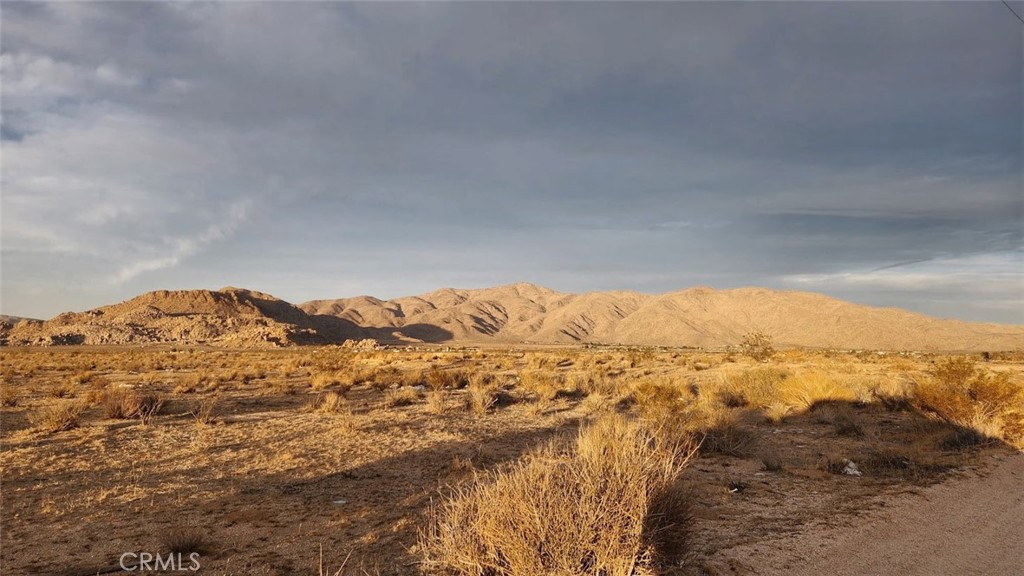 MLS #HD25261598 image #2