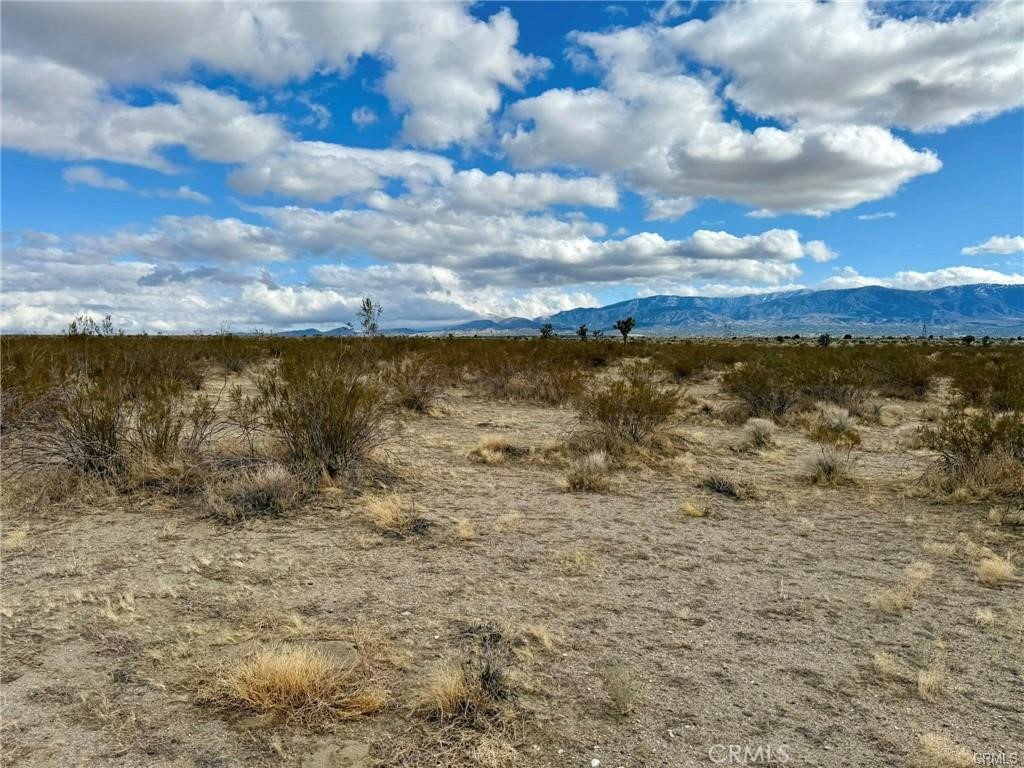 MLS #HD25271707 image #2