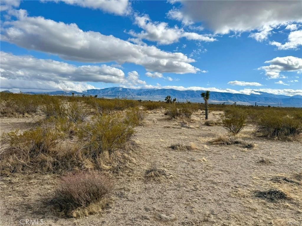 MLS #HD25271707 image #3