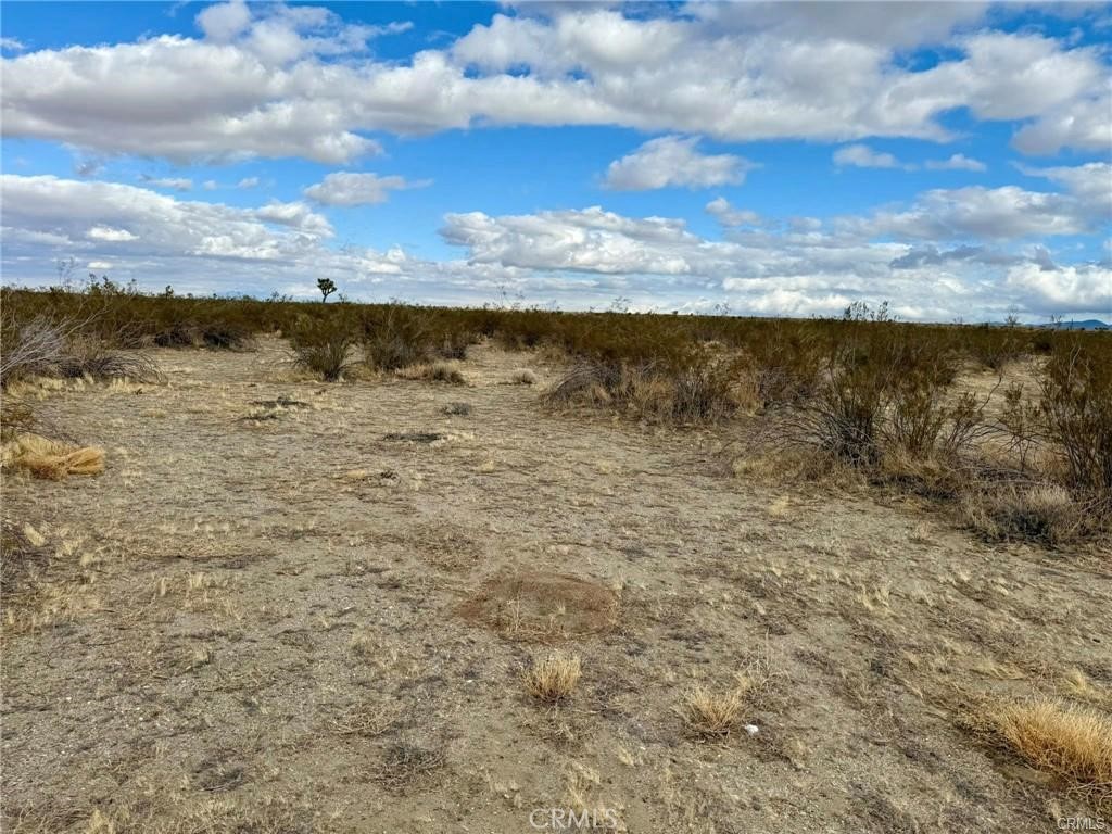 MLS #HD25271707 image #4