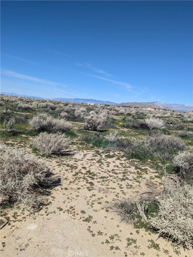 MLS #IG23052666 image #3