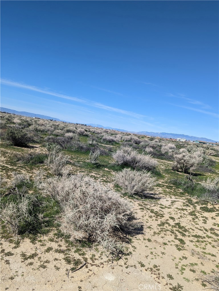 MLS #IG23052666 image #4