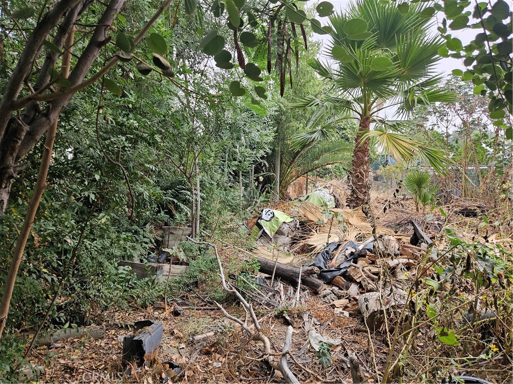 MLS #IG24218049 image #1