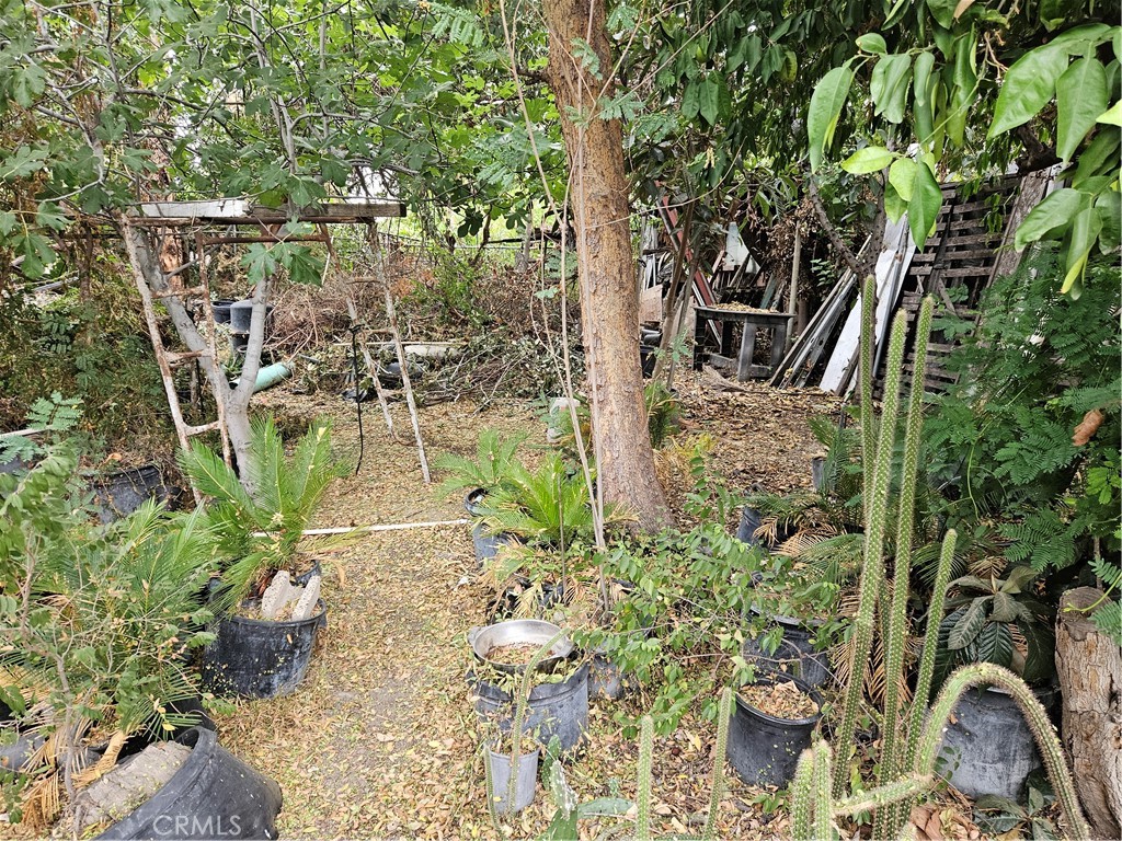 MLS #IG24218049 image #2