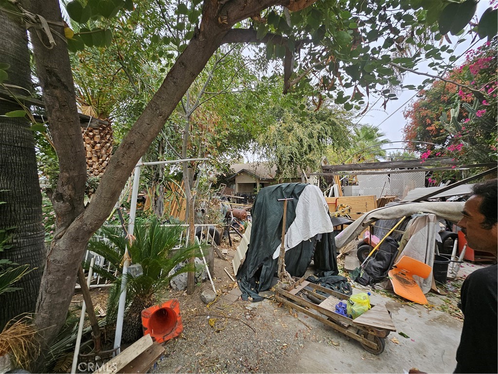 MLS #IG24218049 image #6