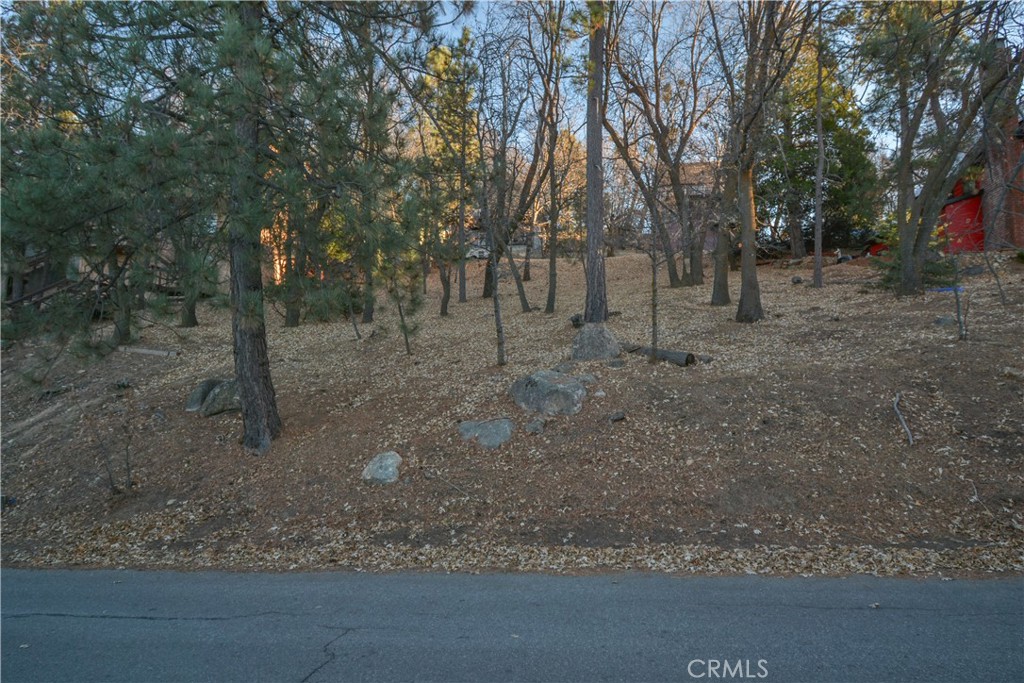 MLS #IG24251663 image #1