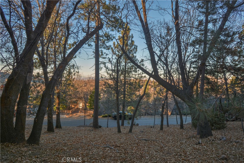 MLS #IG24251663 image #5