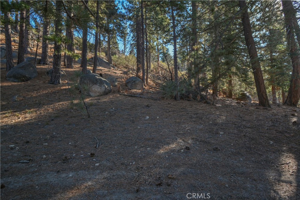 MLS #IG24253088 image #0