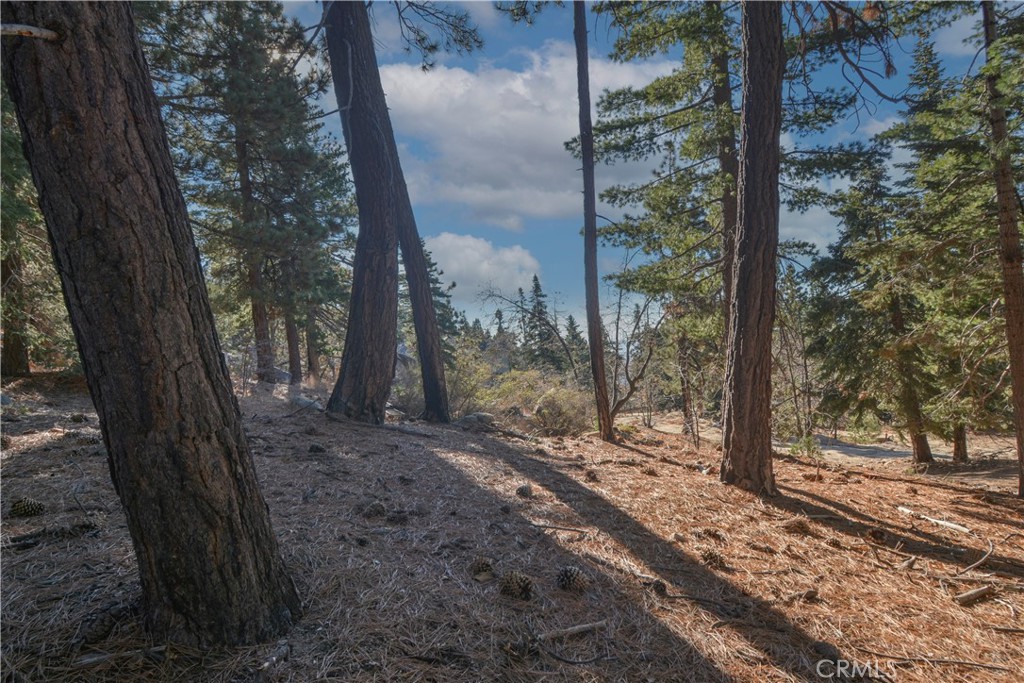 MLS #IG24253088 image #1