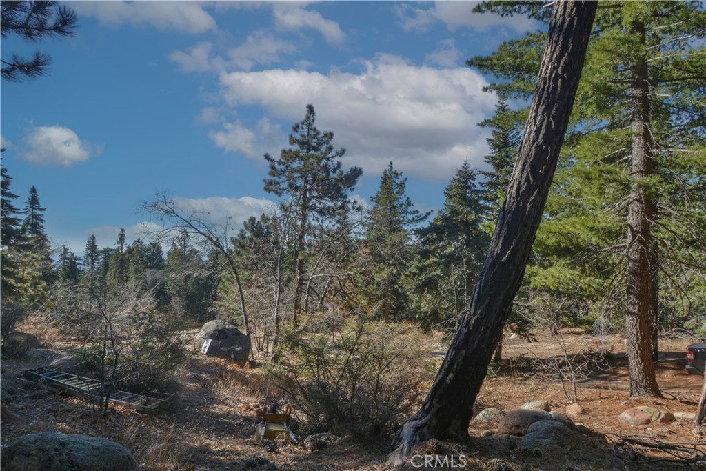 MLS #IG24253088 image #2