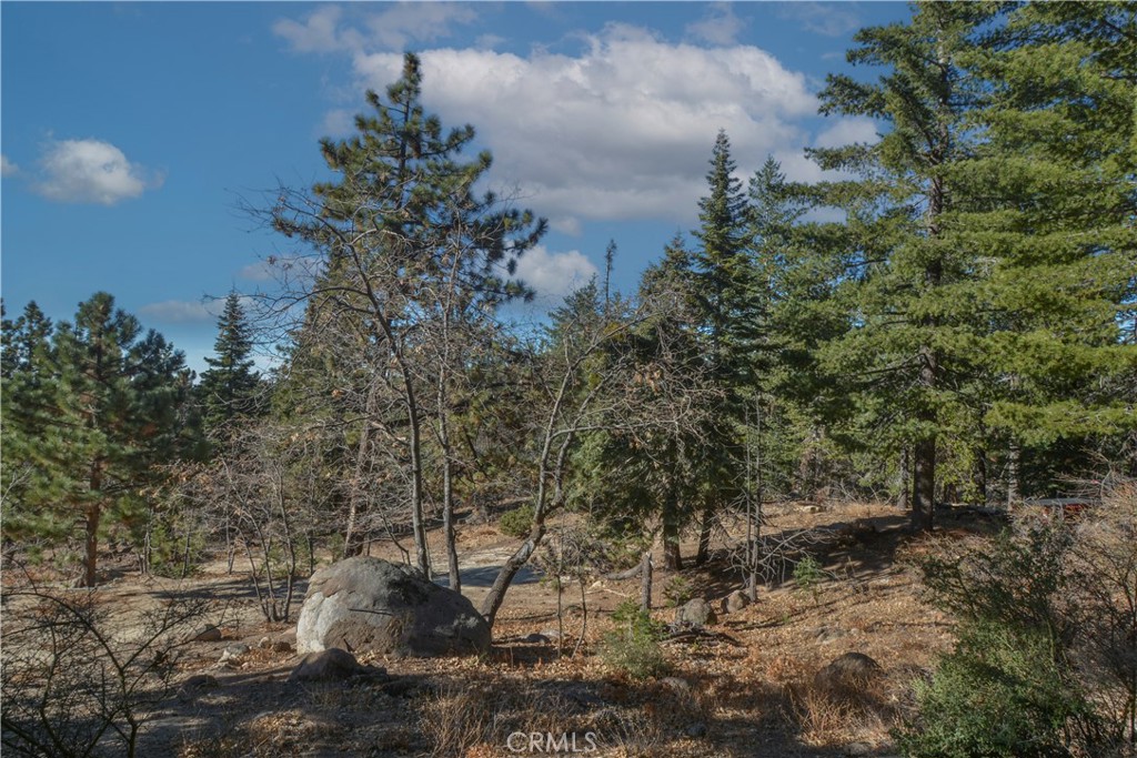 MLS #IG24253088 image #3