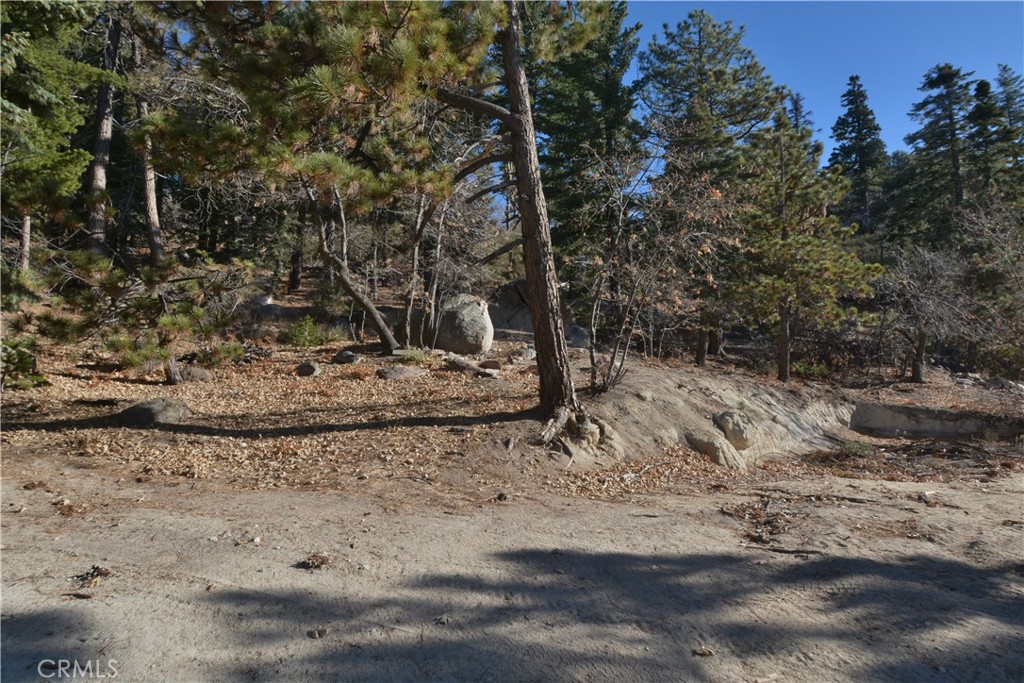 MLS #IG24253088 image #4