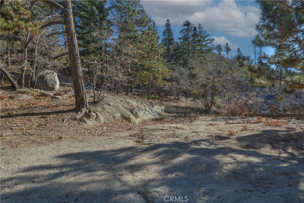 MLS #IG24253088 image #5