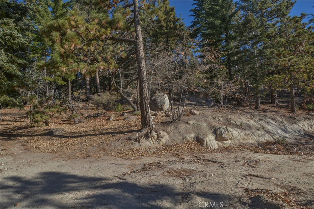 MLS #IG24253088 image #6