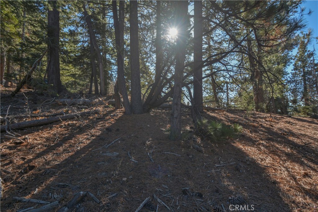 MLS #IG24253088 image #7