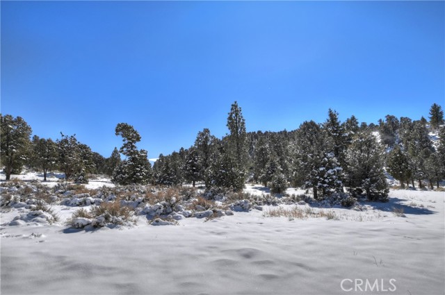 MLS #IG25023506 image #69