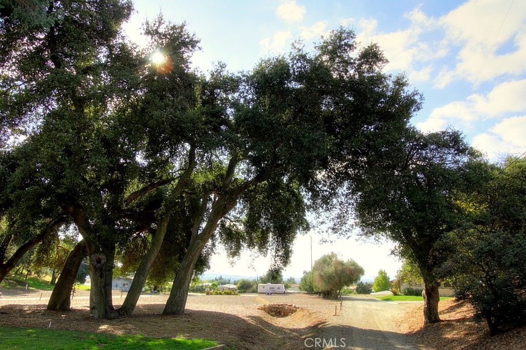 MLS #IG25034145 image #27