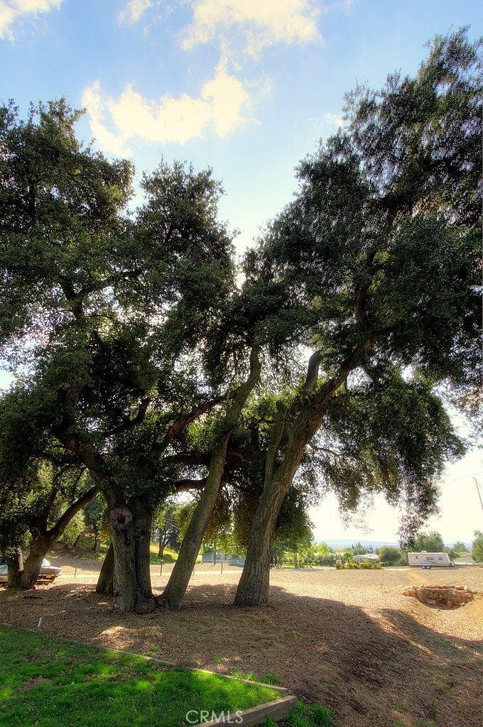 MLS #IG25034145 image #28