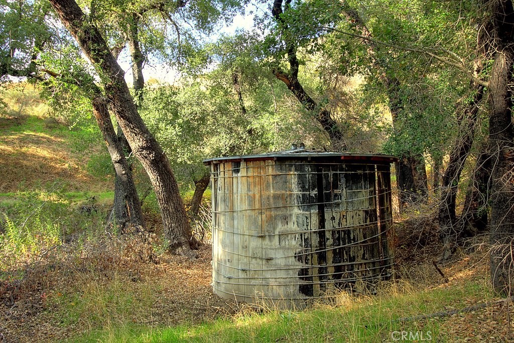 MLS #IG25034145 image #37