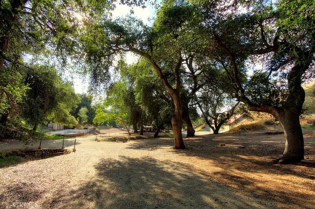 MLS #IG25034145 image #41