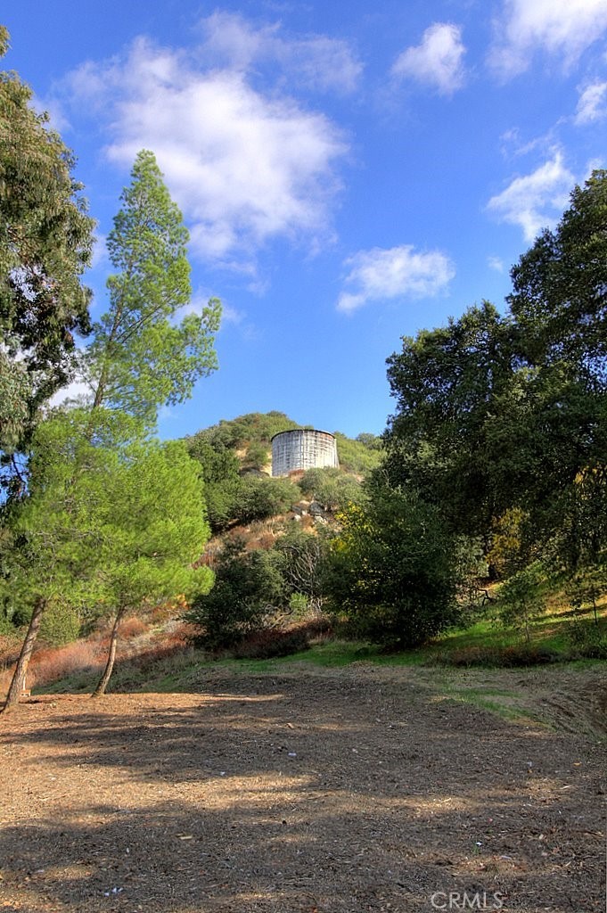 MLS #IG25034145 image #42