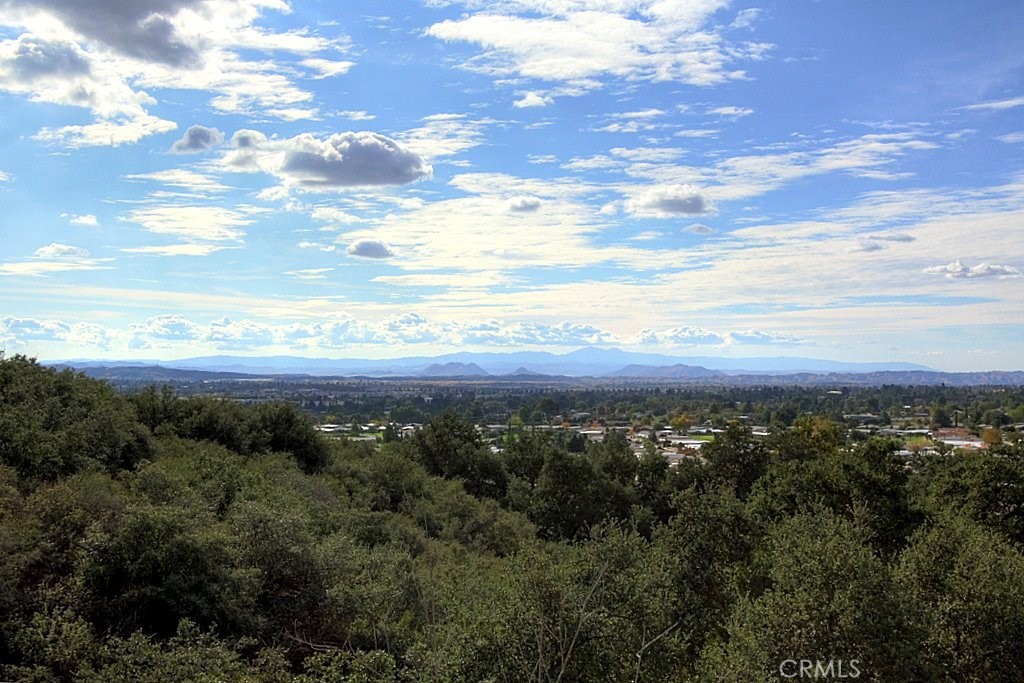 MLS #IG25034145 image #46