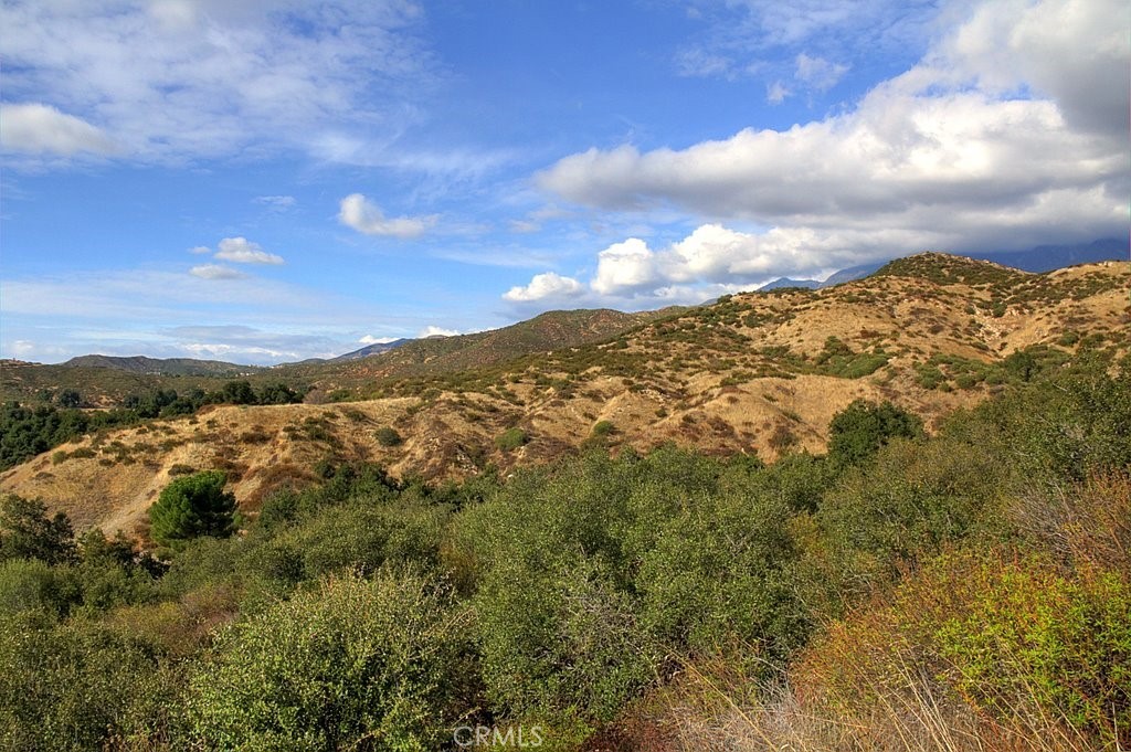 MLS #IG25034145 image #54