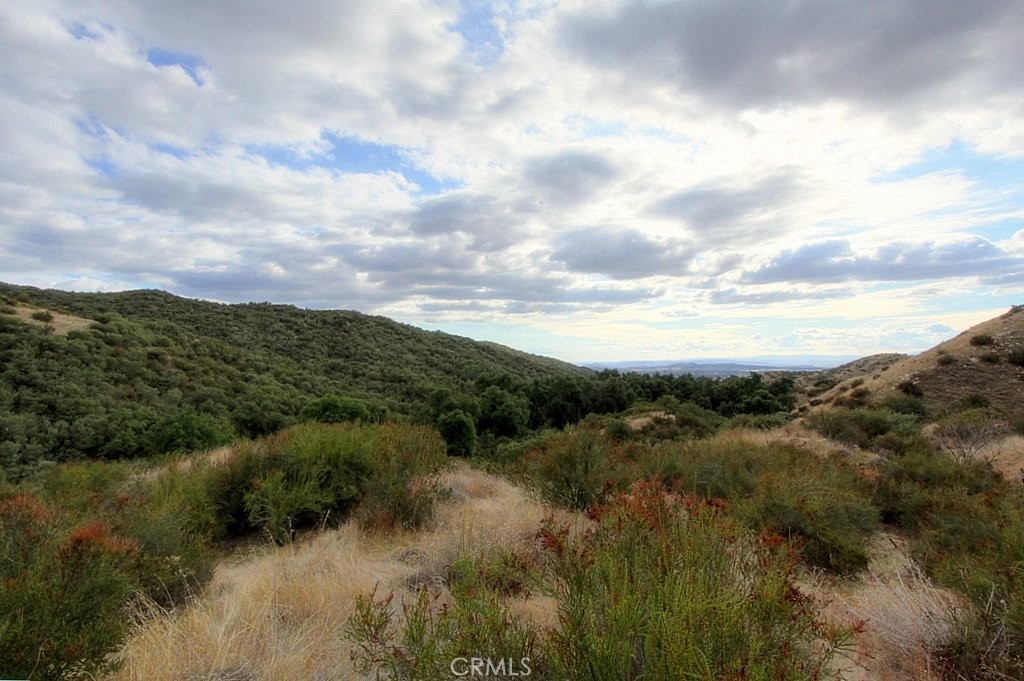 MLS #IG25034145 image #55