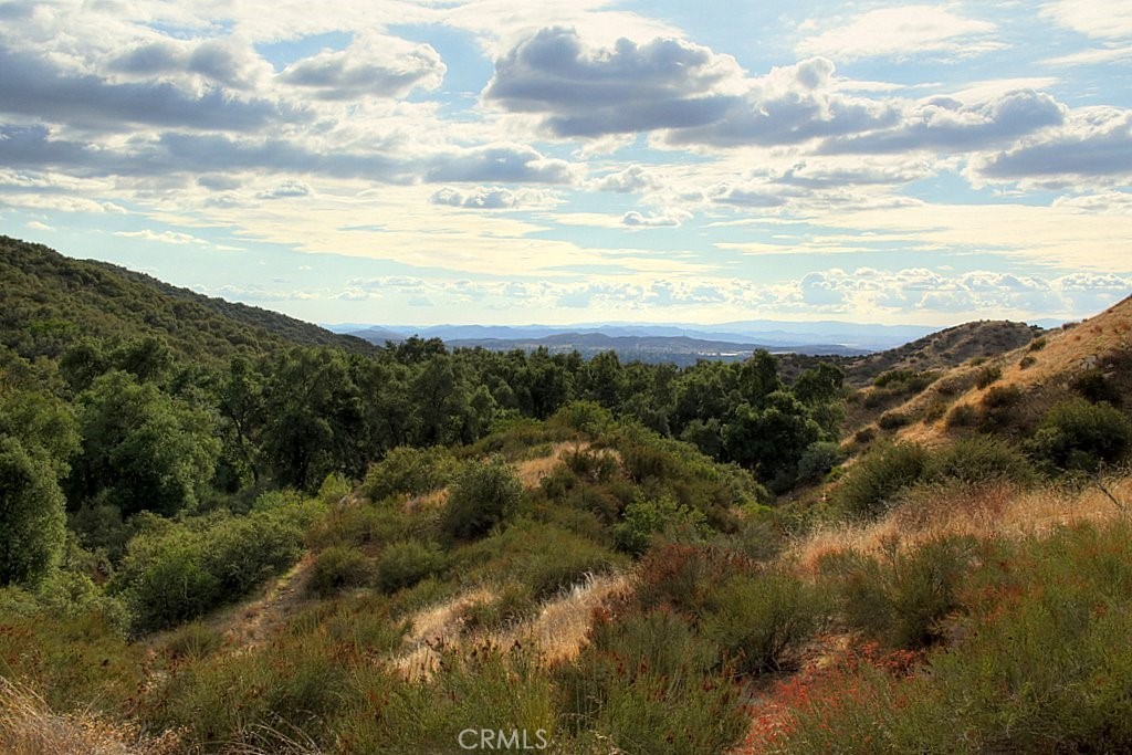 MLS #IG25034145 image #56