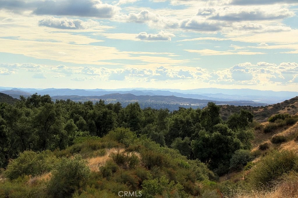 MLS #IG25034145 image #57