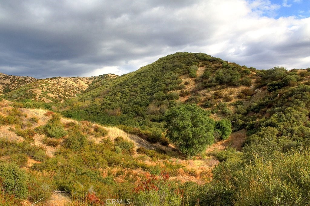 MLS #IG25034145 image #58