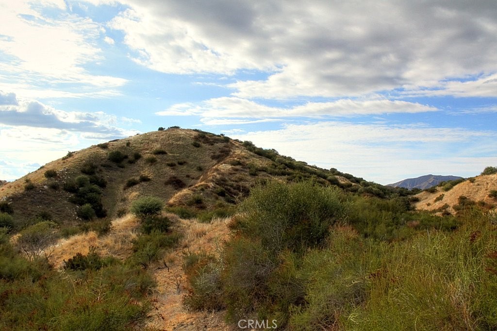 MLS #IG25034145 image #59