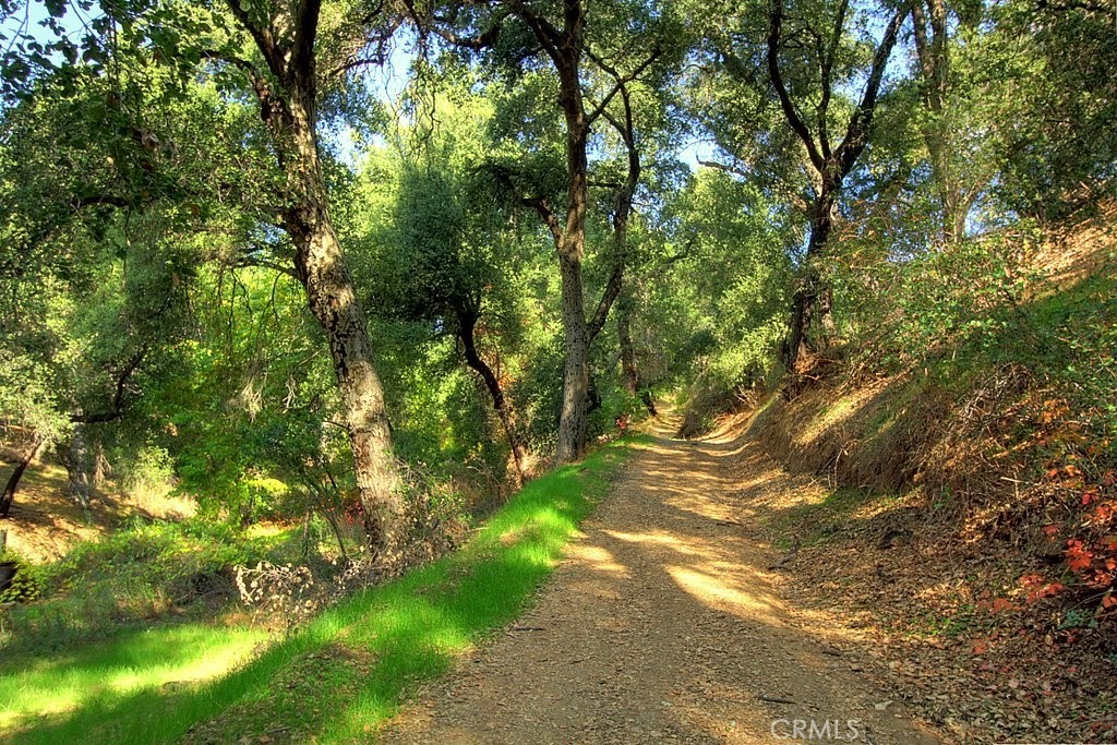 MLS #IG25034145 image #60