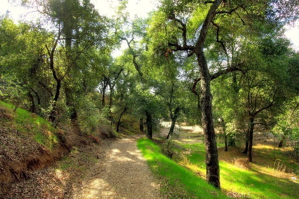 MLS #IG25034145 image #61