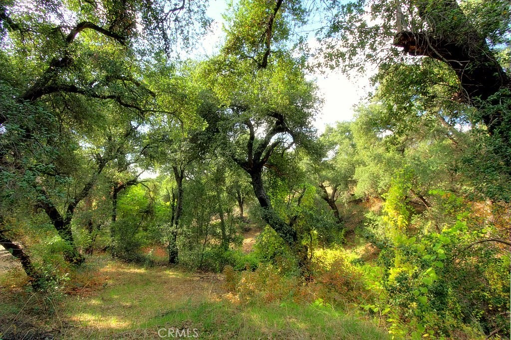 MLS #IG25034145 image #63